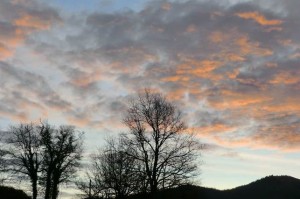 Particiapción y arte