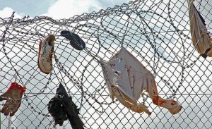 concertina-Foto-Jesus-Blasco-Avellaneda_EDIIMA20131030_0656_14