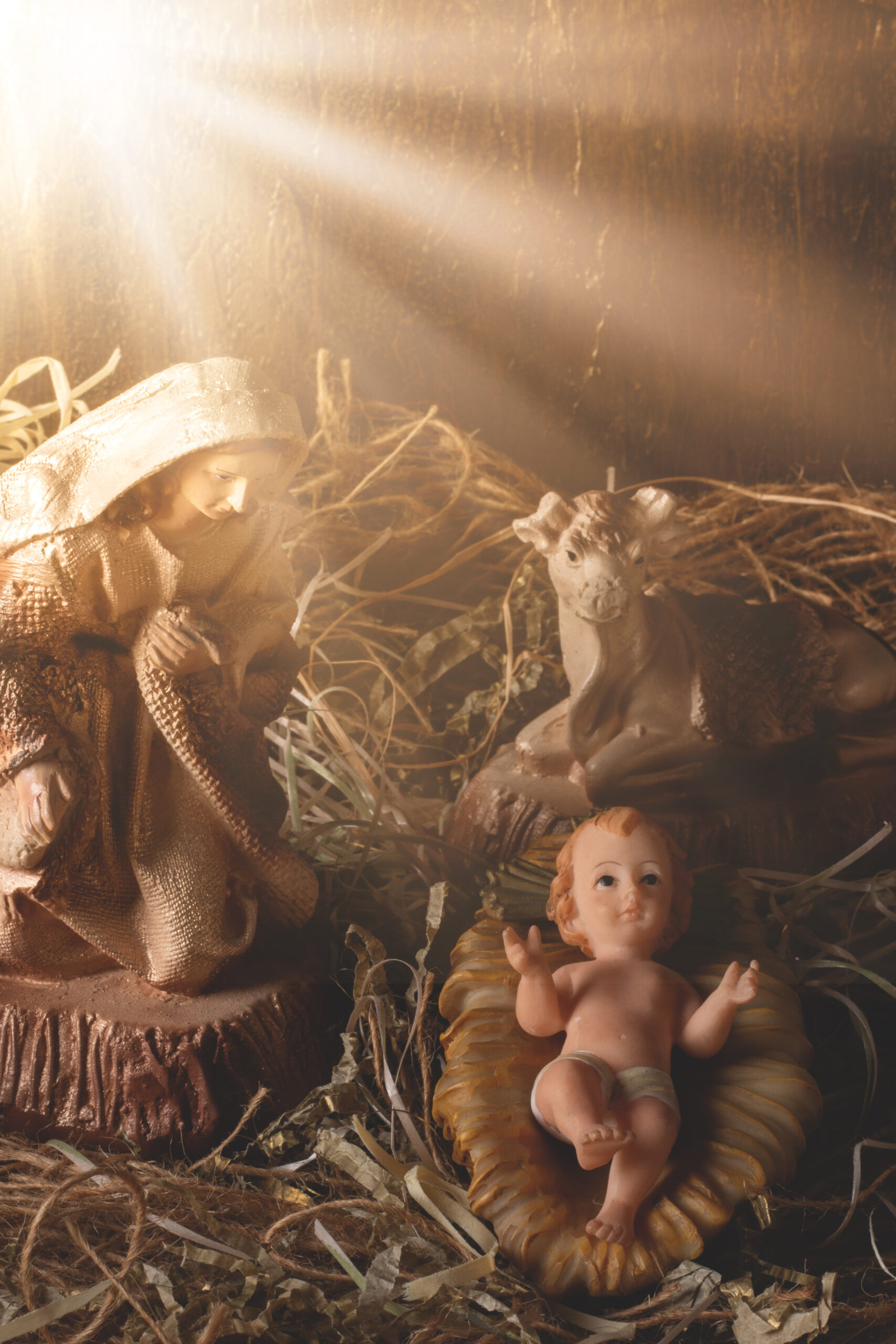 Navidad